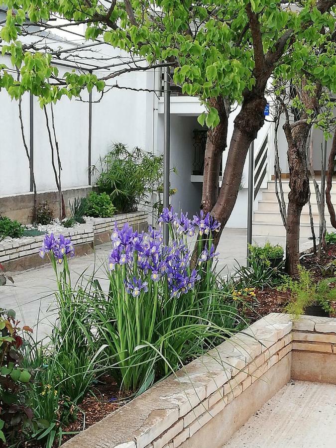 Apartman 1 Zadar Exteriör bild