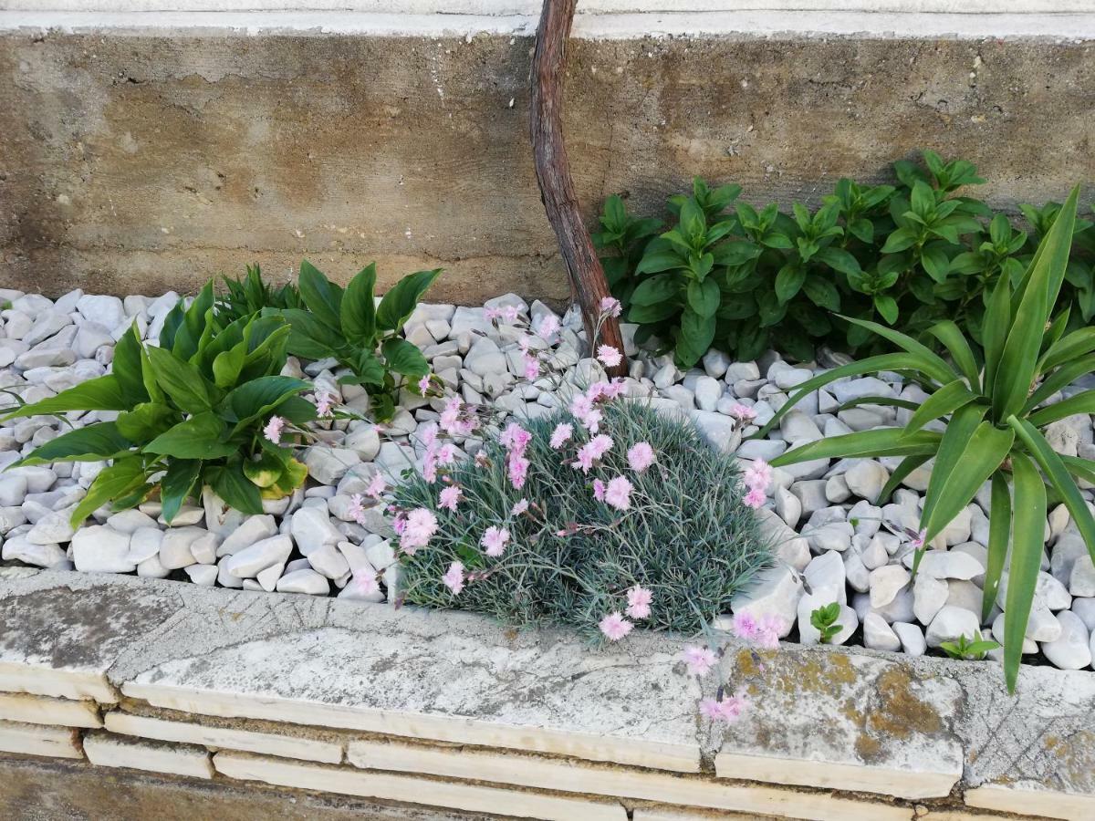 Apartman 1 Zadar Exteriör bild